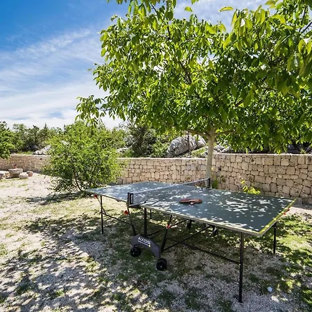 Silentio Dalmatia