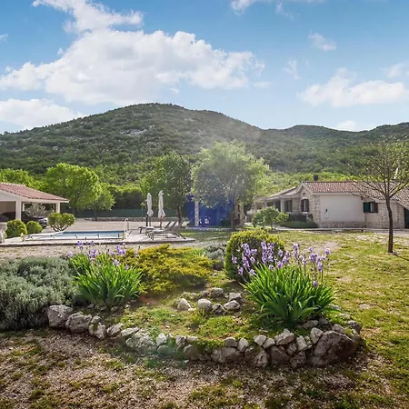 Silentio Dalmatia Макарска