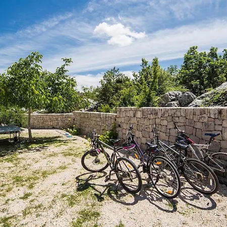 Silentio Dalmatia